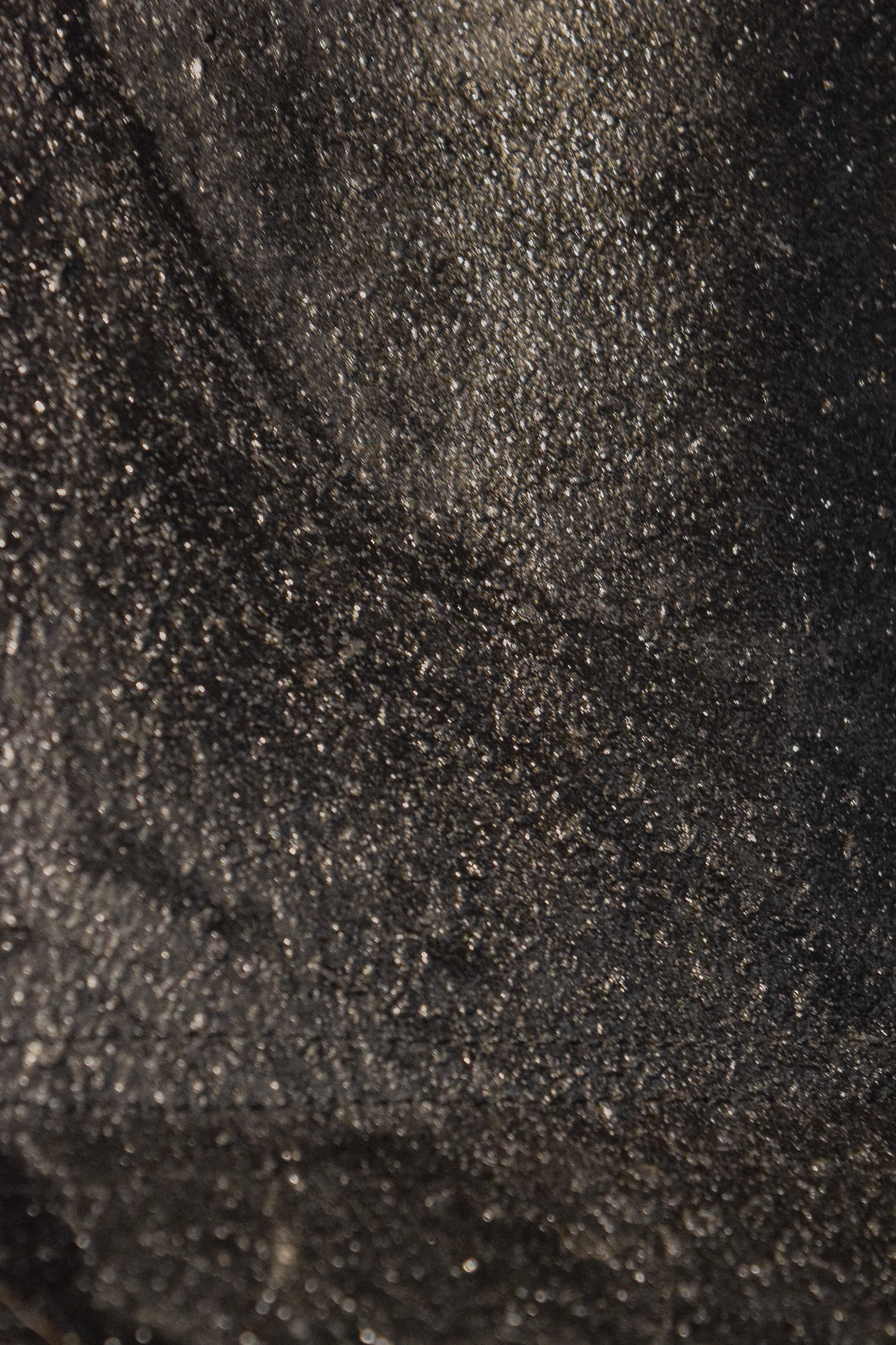 Biomaterial de Carbon