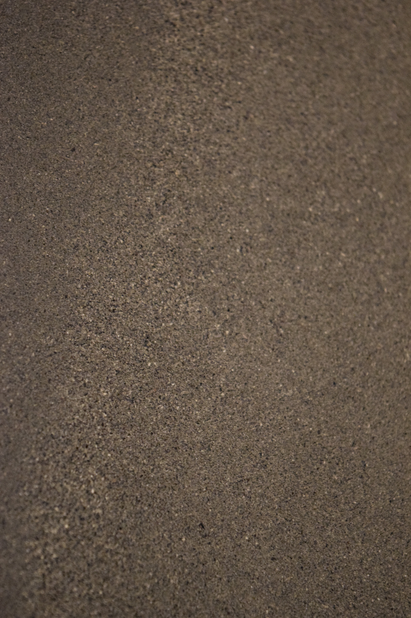 Biomaterial de Cenizas